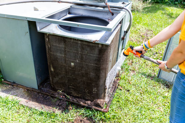 Air Duct Mold Removal in TX