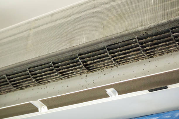 Best Duct Cleaning for Offices  in Double Oak, TX